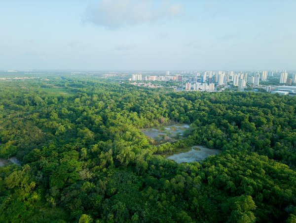 Meilleure mutuelle santé : les différentes garanties qu'elle offre
